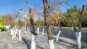 Фото ©️ Tengrinews.kz