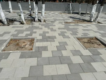 Фото ©️ Tengrinews.kz