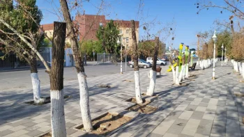 Фото ©️ Tengrinews.kz