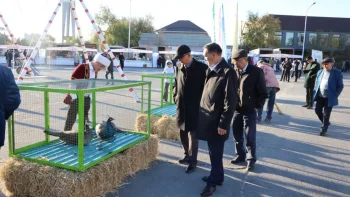 Фото: Сырдария аудан әкімдігі