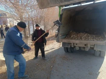 Фото: Сырдария аудан әкімдігі