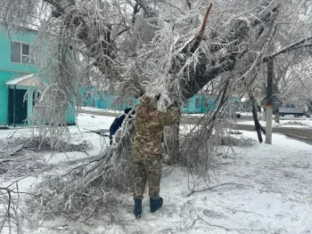 Фото: Сырдария аудан әкімдігі