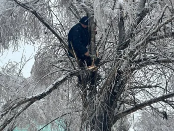 Фото: Сырдария аудан әкімдігі
