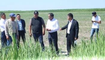 Аудан басшысы «Шаған жер» ЖШС-нің егіс алқаптарын аралады