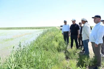 Аудан әкімі егіс және бақша алқаптарын аралады